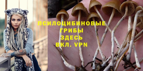 мяу мяу мука Алексин