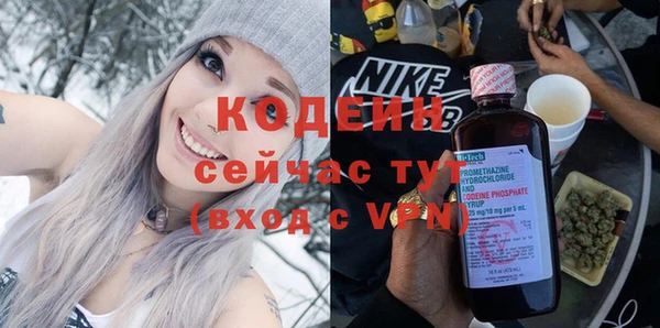 ECSTASY Алзамай