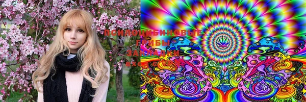 ECSTASY Алзамай